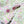 Chandail CC 2025 Laine Multicolore 325885