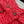 Veste CC 2025 Laine Rouge 325882