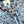 CC 2025 Veste Mélange de Couleurs Bleu Laine 325862
