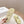 Pra Interwoven Straps Sandals 30 Vanilla