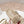 Sandali Pra con cinturini intrecciati 30 Beige