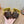 HM Men's Chypre Slide Yellow Suede 550928