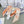 CD Twilly Mini Scarf 105cm Orange White Mulberry Silk 976490