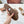 Celine 25C Slippers Beige mix Brown Fabric with Calfskin 238160