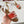 Celine 25C Lympia Sandal Red mix White Canvas with Calfskin 238173
