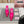 Jimmy 25 Vivi 100 Mule Deep Pink Mesh Gauze 240054