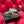 CC Moccasins Grey Suede And Lambskin