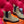 HM Findlay Ankle Boot Beige Light Brown Suede  969358