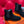 HM Findlay Ankle Boot Black Suede 969360