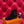 HM Findlay Ankle Boot Black Suede 969360