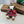 Burberry Thomas Bear Charm 306620