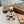 Burberry Thomas Bear Charm 306634