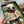 Burberry Thomas Bear Charm 306634