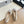 CC 25C Ballet Flat Two-tone Suede Calfskin