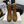 CC 26 Combat Boot Tan Black Suede 588798