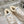 CC Sneaker Light Beige Suede With Wool Lining  944557