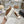 CC Sneaker Brown Suede Wool Lining
