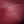 BV Concert Pouch 18.5cm Dark Red Lambskin