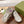 SNEAKER GG RIPPLE GRIGIO NUVOLA