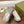 GG RIPPLE SNEAKER Cream SILVER