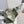 LOE COMPACT HAMMOCK 24 BAG IN OLIVE MELLOW CALFSKIN AND CANVAS