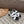 ELECTRIC SANDAL BLACK MIX WHITE CALFSKIN