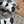 ELECTRIC SANDAL BLACK MIX CREAMY WHITE CALFSKIN