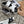 ELECTRIC SANDAL BLACK MIX CREAMY WHITE CALFSKIN