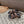 ELECTRIC SANDAL BLACK MIX BROWN SUEDE