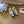 BOUNCING SNEAKERS LIGHT GRAY MIX NAVY CALFSKIN