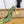 YSL Louis Slingback 10cm Olive Satin Patent Leather 932058
