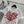CD Butterfly Lover T-shirt White Red Cotton