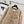 Cardigan Veste CC Beige Multicolore Laine de Mouton Tweed 343317