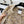 Cardigan Veste CC Beige Multicolore Laine de Mouton Tweed 343317
