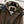 LP Icer Mini Jacket Coffee Cashmere 346650