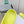 POOL CROCS IN MANZ YELLOW RUBBER