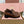 Miu Vintage-Effect Penny Loafers Brown Leather 791005