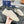 CD B33 SNEAKER BEIGE EMBOSSED CALFSKIN