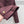 Loewe 25 Stand Collar Short Trench Coat Burgundy Red Cotton Nylon 224272