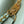 capucines bb 27 green beige taurillon leather gold hardware