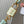 capucines bb 27 green beige taurillon leather gold hardware