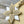 CAPUCINES EAST-WEST MINI 22 IN BANANA YELLOW TAURILLON GOLD HARDWARE