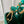 CAPUCINES MINI 21 GREEN CROCODILE EMBOSSED CALFSKIN GOLD HARDWARE
