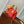speedy p9 bandouliere 18cm red calfskin