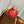 speedy p9 bandouliere 18cm red calfskin