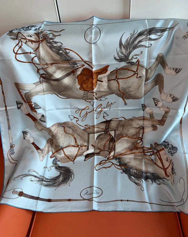 HM 26s 90 House Scarf Light Blue Colorful Mulberry Silk 153374