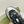 GG RIPPLE TRAINER ARGENTO CHIARO E PELLE DI AGNELLO NERA