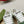 GG Sneaker Khaki Suede Green Calfskin
