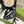 HEADBAND IN SPACE CADET MIX WHITE MONOGRAM CANVAS 423617