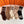 CREW SOCKS 423801 (1 BOX)